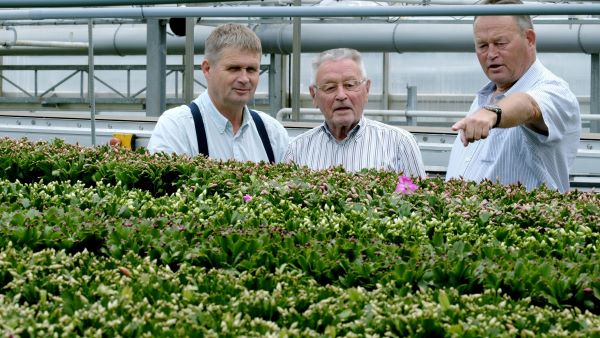 24011 Hofland Flowering Plants 3e generatie Goos Frans Peter Hofland